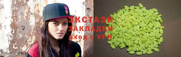 индика Богородицк