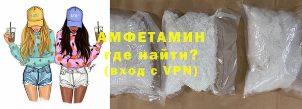индика Богородицк