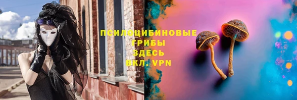 прущая мука Богданович