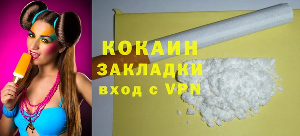 индика Богородицк