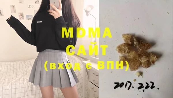 индика Богородицк