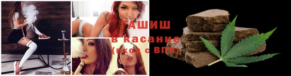 индика Богородицк