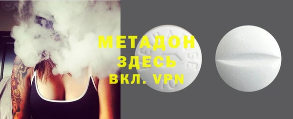 индика Богородицк
