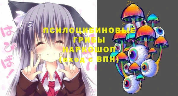 спиды Белоозёрский