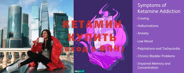 индика Богородицк